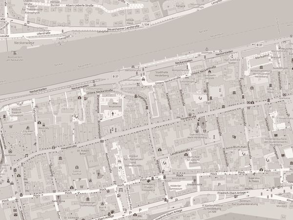 Stadtplan der Heidelberger Altstadt mit Markierung der Praxis in der Ziegelgasse 24